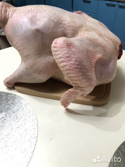 Мясо домашней индейки