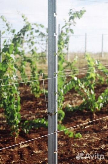 Проволока 2-3 шпалерная оцинкованная для винограда