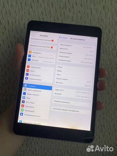 iPad Mini 2