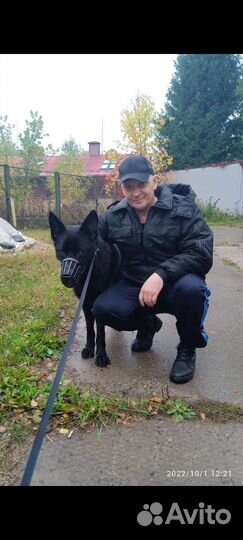 Помощник по хозяйству