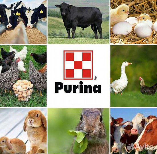 Комбикорма Purina для с/х животных