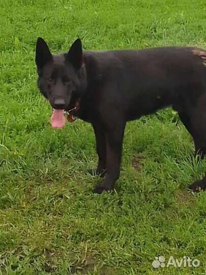 Кабель для вязки