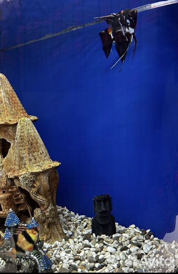 Аквариум с тумбой