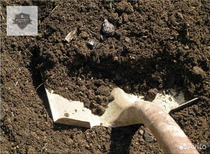 Навоз чернозем