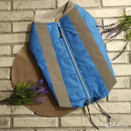 Одежда для собак