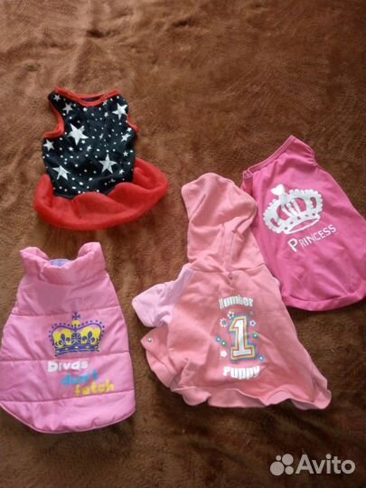 Одежда для маленьких собак