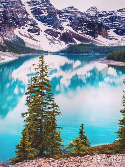 Постеры, постер на стену