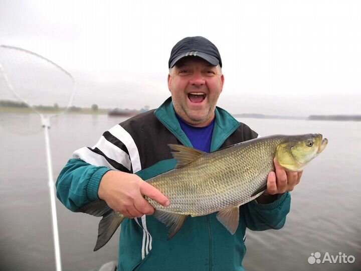 Рыбалка с гидом круглый год, прогулки на катере
