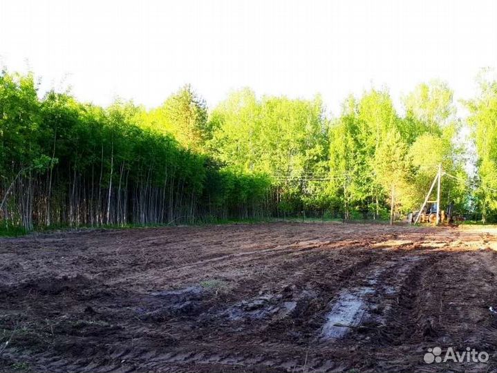 Уборка / расчистка участка. Спил деревьев