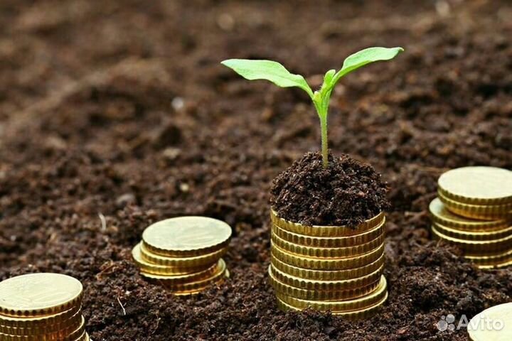 Научу оформлять участки у государства