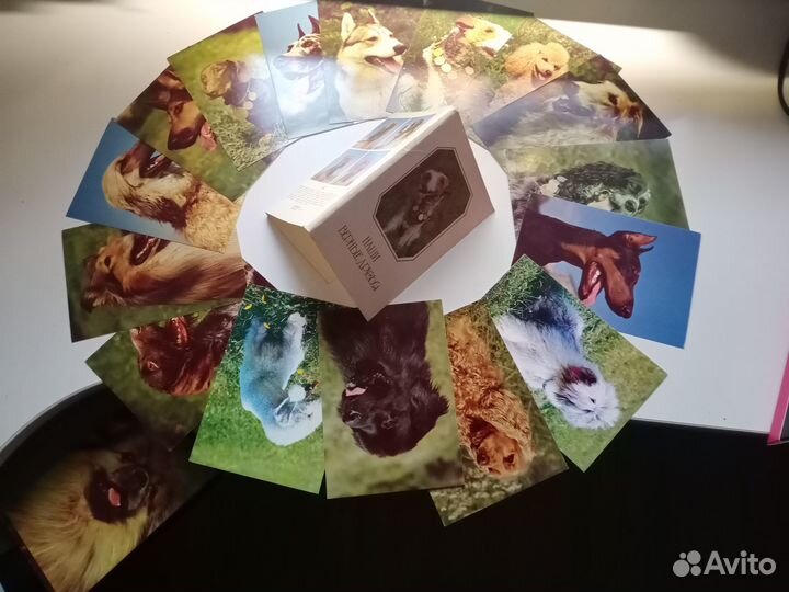 Наборы открыток СССР с животными (кошки, собаки)