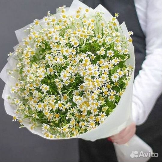 Ромашки букет