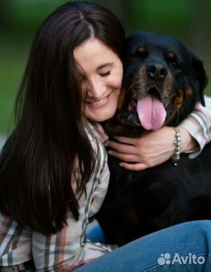 Передержка для собак и кошек. Есть места