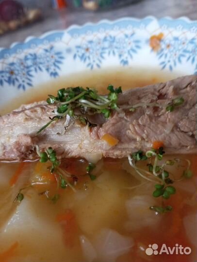 Микрозелень