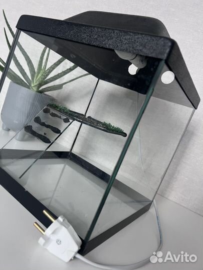 Аквариум для черепах бу 15 литров