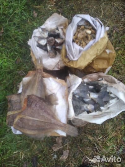 Рыба на корм животным