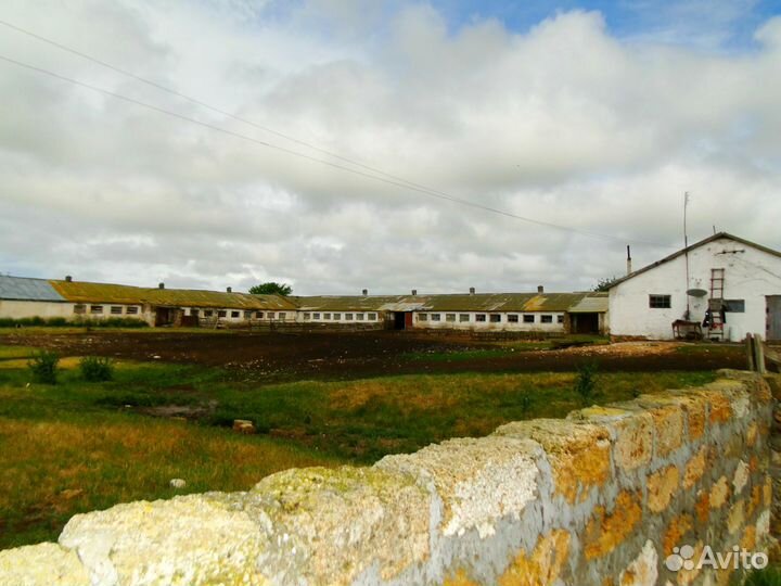 Кошара, 82,2 га