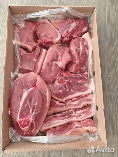 Мясо свинина