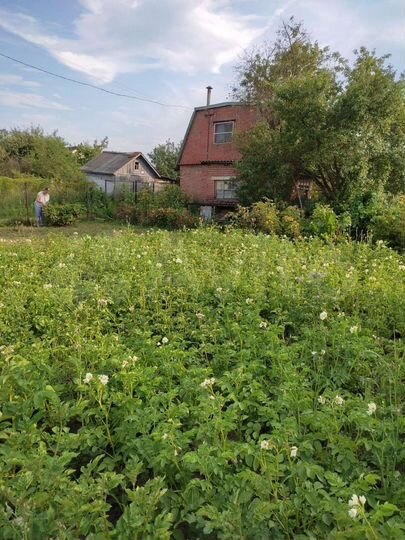 Участок 6,5 сот. (СНТ, ДНП)