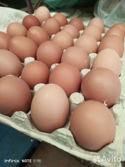 Домашние куриные яйца