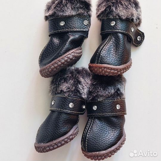 Обувь для собак мелких пород