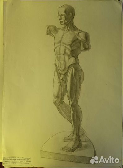 Академический рисунок