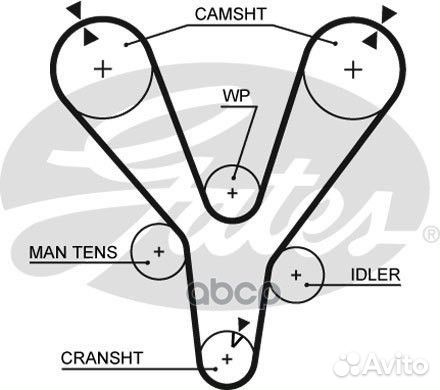 Зубчатый ремень привода грм PowerGrip 5555XS