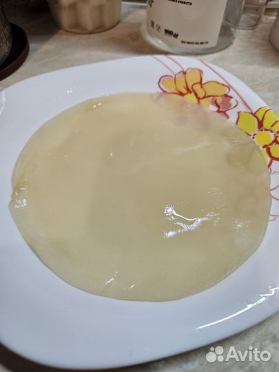 Чайный гриб (комбуча)