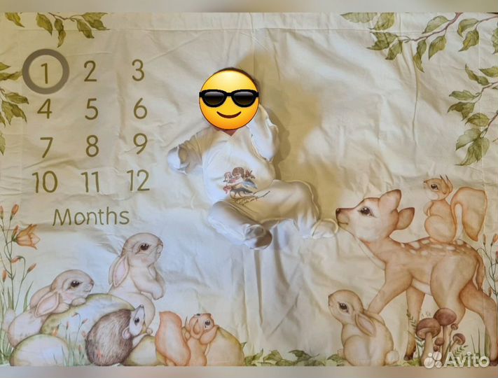 Фотоплед по месяцам