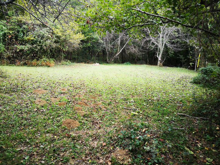 Участок 6 сот. (ИЖС)