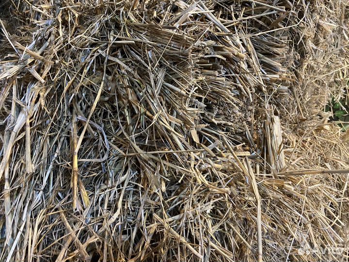 Матрас для бани с сенон приятно пахнет