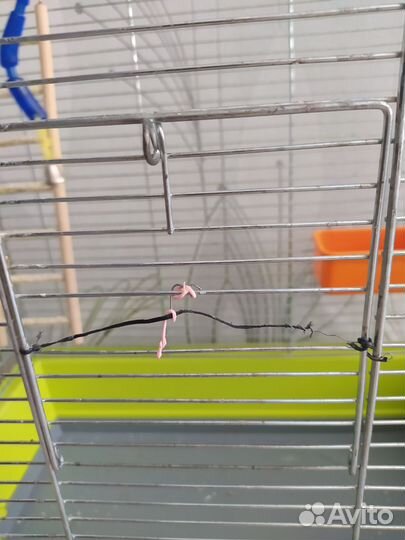 Клетка для попугая бу