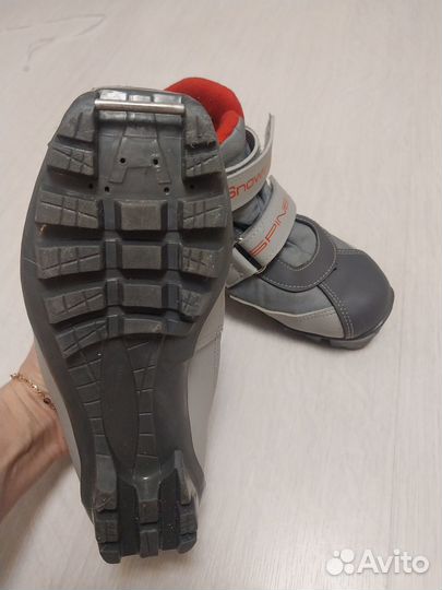 Лыжные ботинки spine