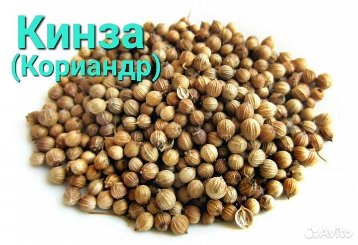 Кориандр (кинза) Янтарь