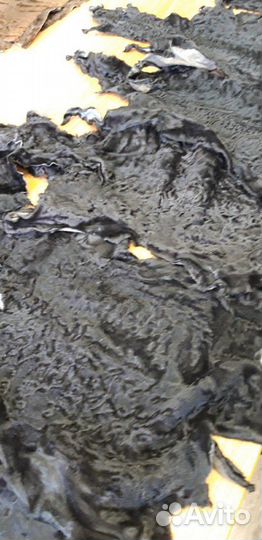 Шкурки каракульчи