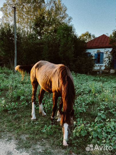 Ретрит в горы 