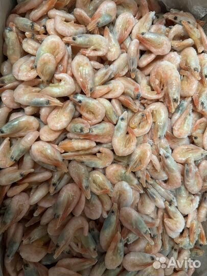 Креветка северная 150+