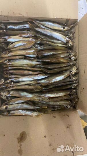 Красная икра, рыба вяленая, копченая оптом