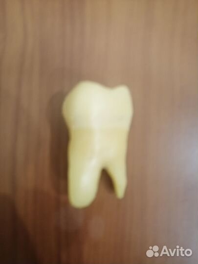 Пластмассовый зуб(верхний моляр)
