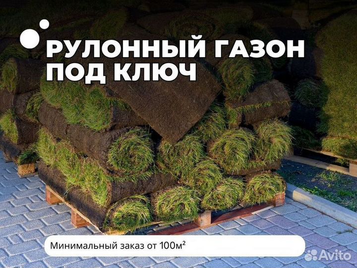 Продажа рулонного газона под ключ