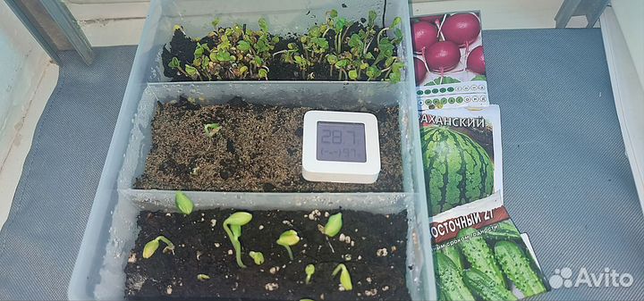 Коврик для проращивания рассады микрозелени