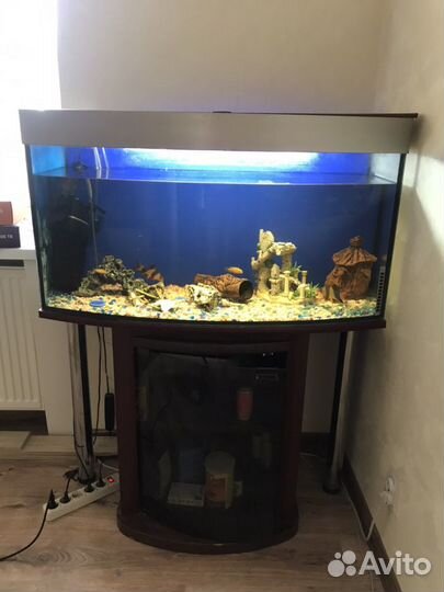 Аквариум