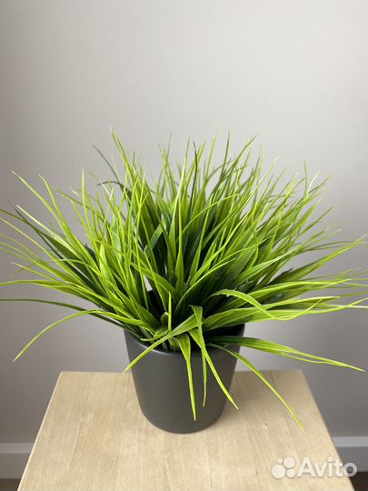 Искусственные цветы (трава, осока)