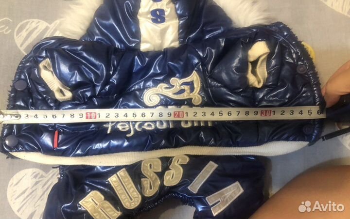 Комбинезон для маленькой собаки зима теплый синий