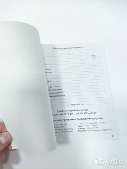 Дневник школьный 