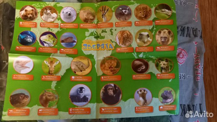 DVD 13шт+журнал Твои веселые друзья зверята