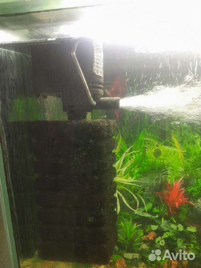 Аквариум с тумбой 400 литров