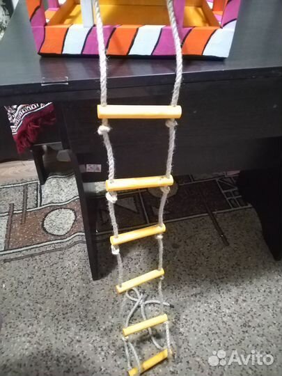 Кормушка для белок, бельчатники