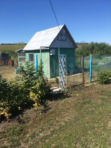 снт березовая роща барнаул