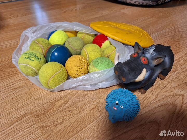 Ошейник, поводок, игрушки, гигиена для собак